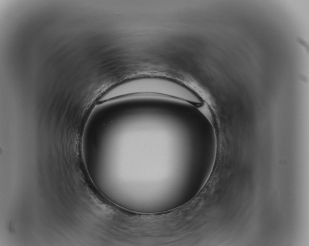 X0000096490009200801311628