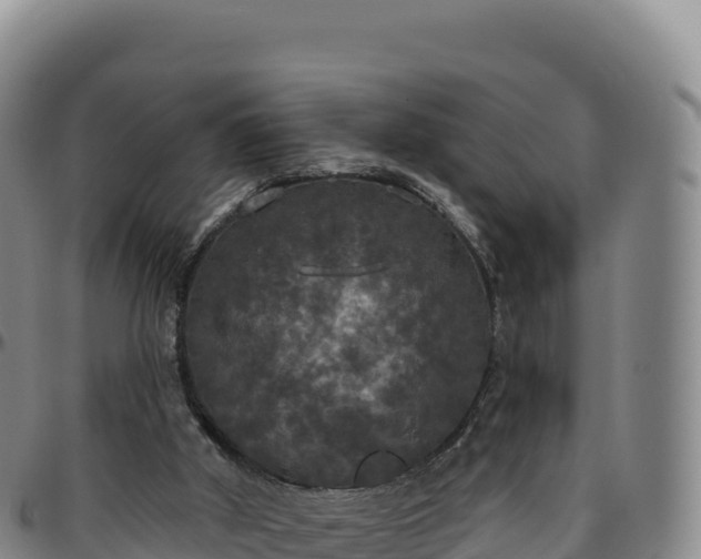 X0000096490010200801311628