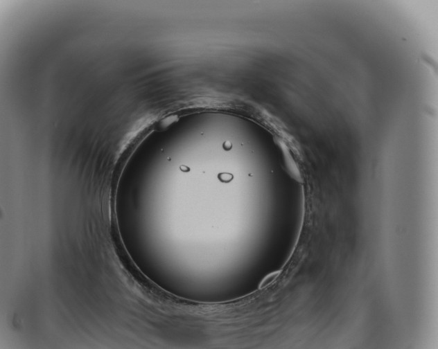 X0000096490011200801311628