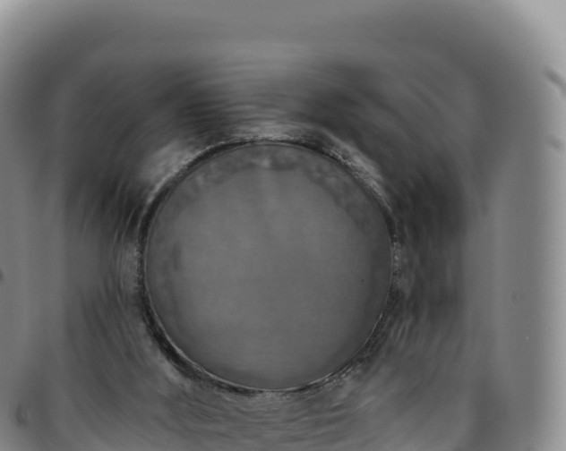 X0000096490012200801311628