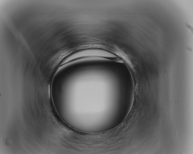 X0000096490013200801311628