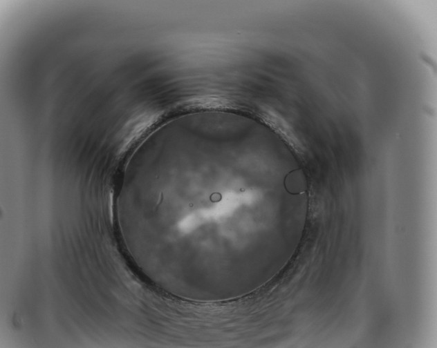 X0000096490014200801311628