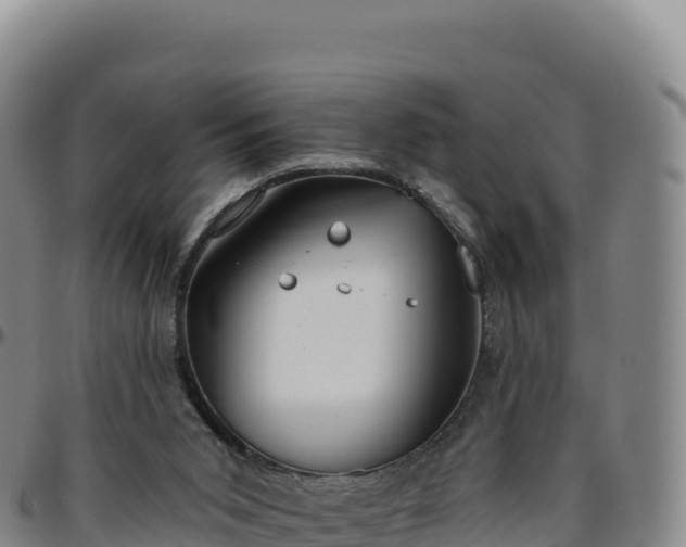 X0000096490015200801311628