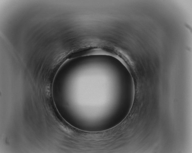 X0000096490017200801311628