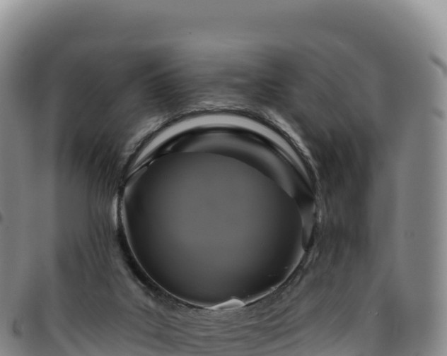 X0000096490019200801311628