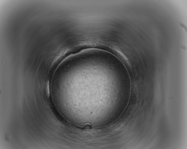 X0000096490020200801311628