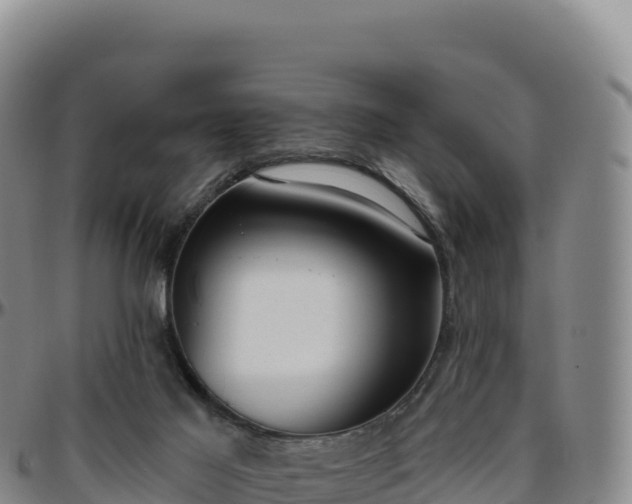 X0000096490021200801311628