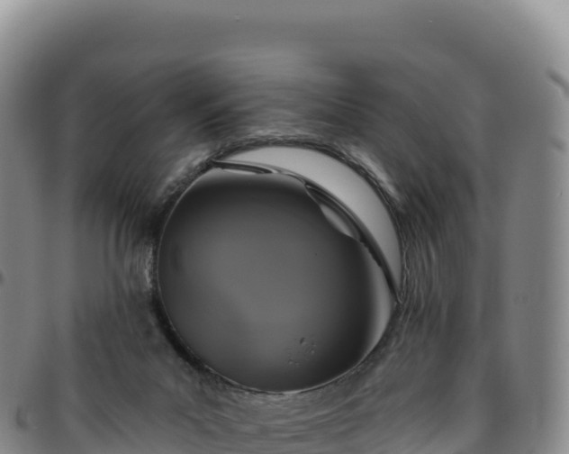 X0000096490023200801311628