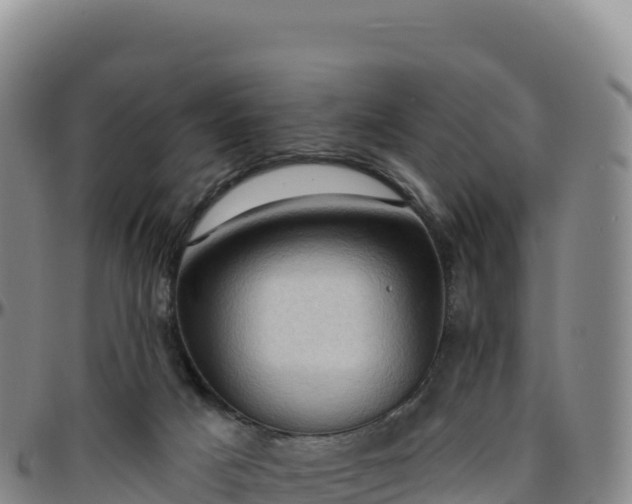 X0000096490025200801311628