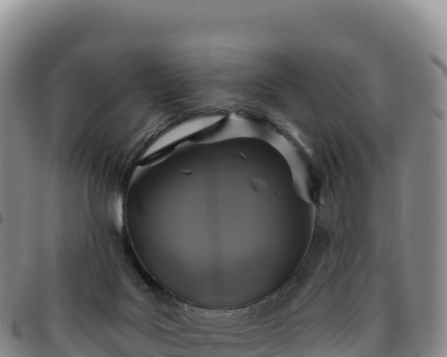 X0000096490027200801311628