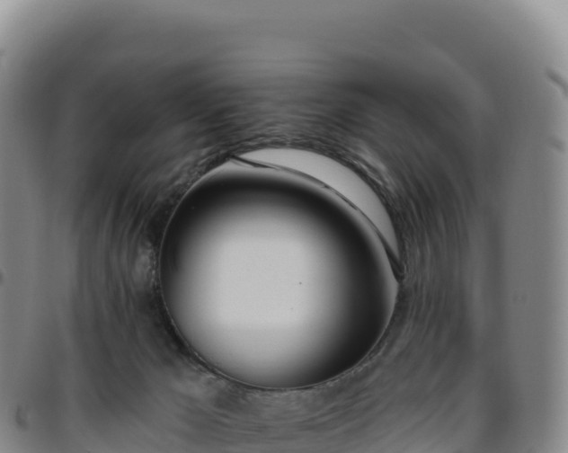 X0000096490029200801311628