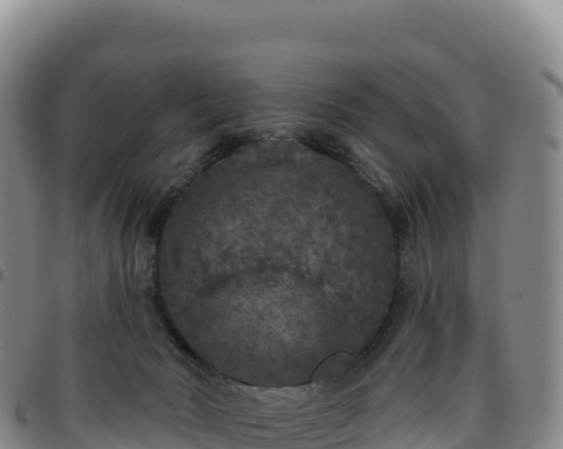 X0000096490030200801311628