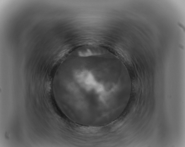 X0000096490032200801311628