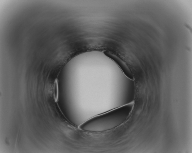 X0000096490033200801311628