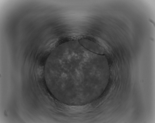 X0000096490034200801311628