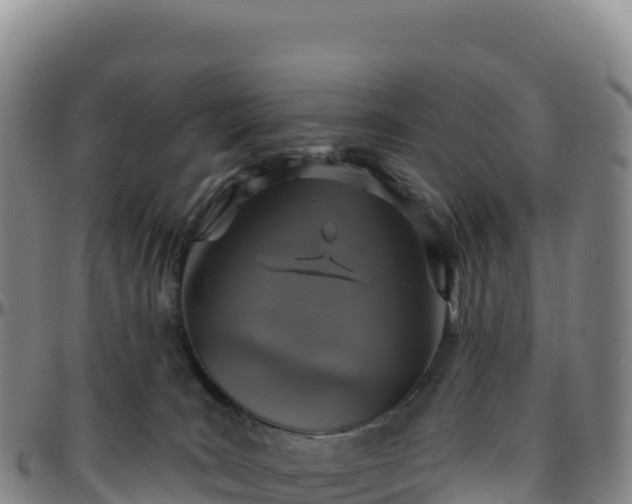 X0000096490035200801311628