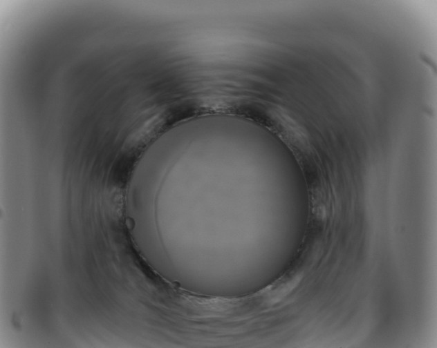 X0000096490036200801311628