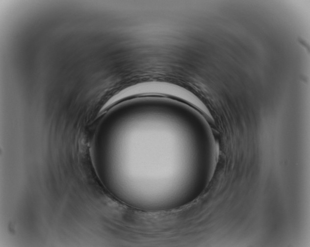 X0000096490037200801311628