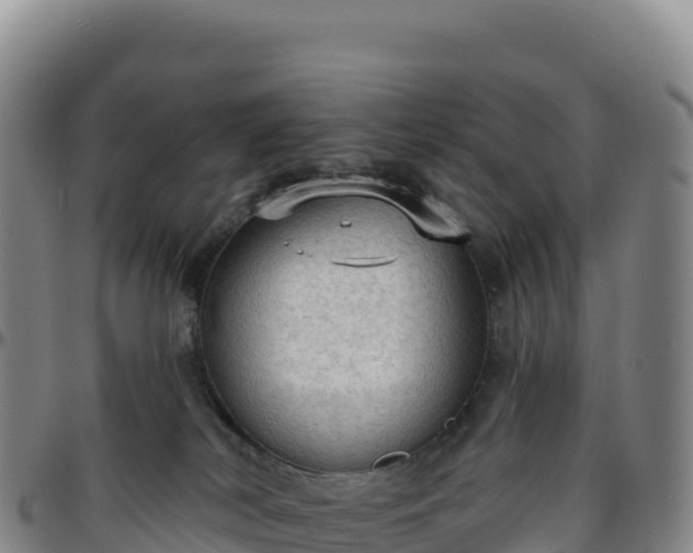 X0000096490038200801311628