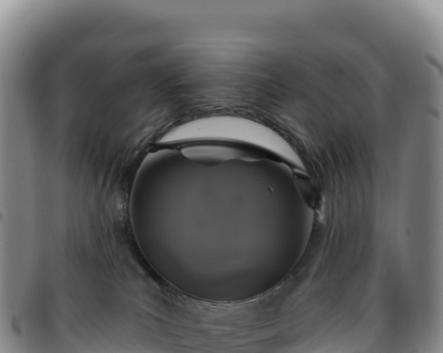 X0000096490039200801311628