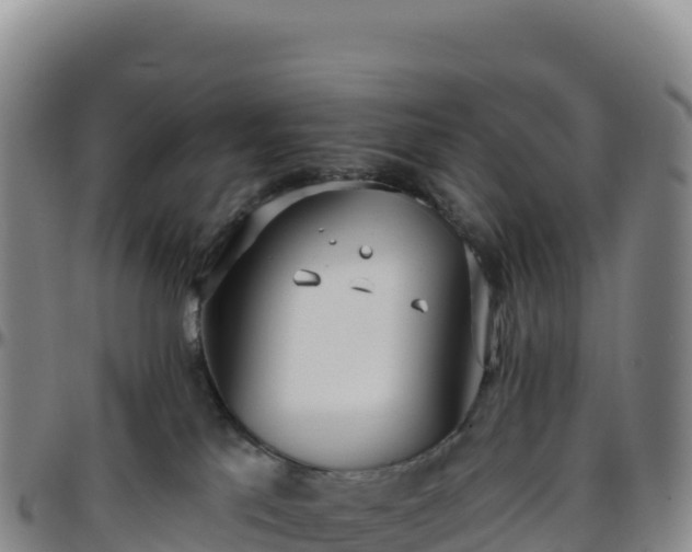 X0000096490041200801311628