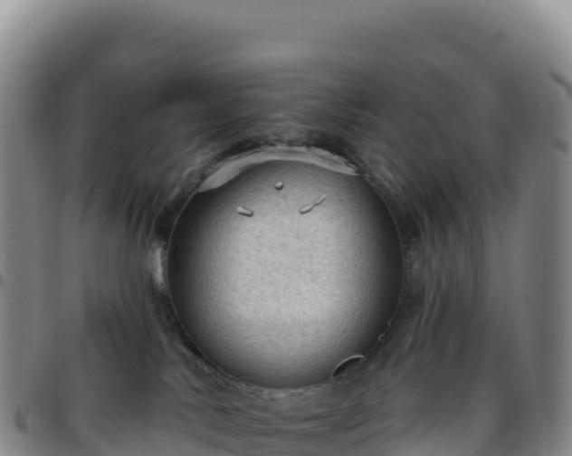 X0000096490042200801311628