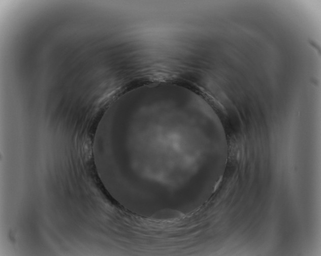 X0000096490043200801311628