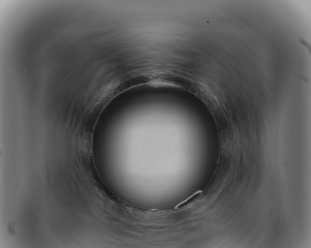 X0000096490044200801311628