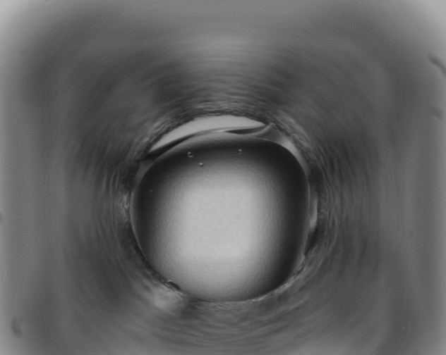 X0000096490045200801311628