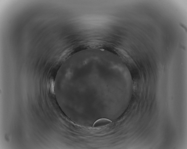 X0000096490046200801311628