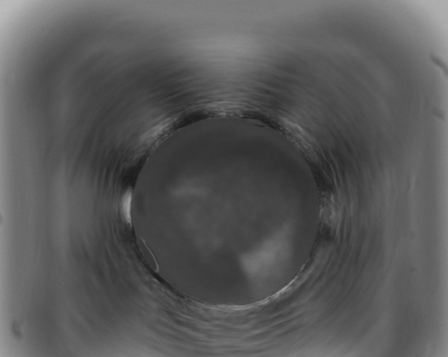 X0000096490047200801311628