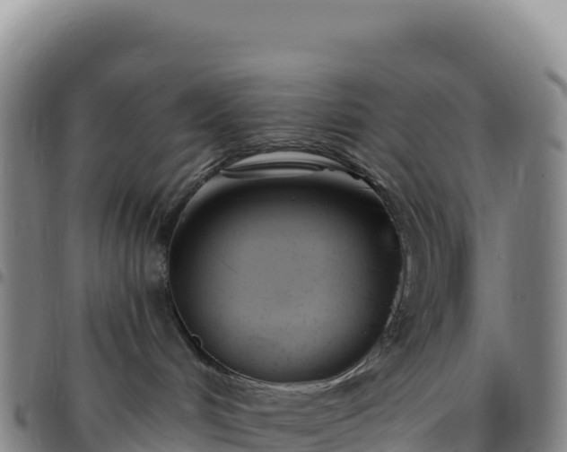 X0000096490048200801311628