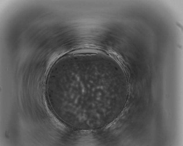 X0000096490049200801311627