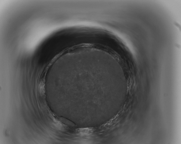 X0000096490050200801311627