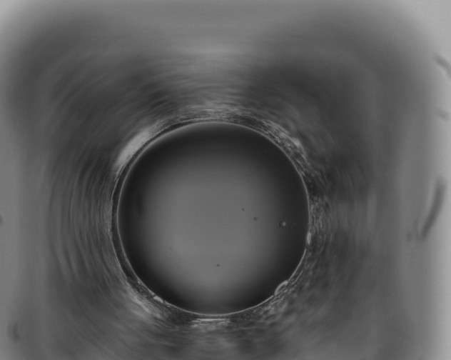 X0000096490051200801311627