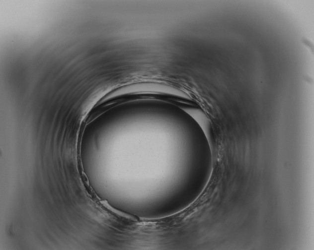 X0000096490052200801311627