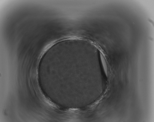 X0000096490055200801311627