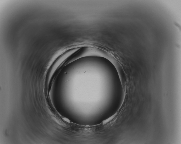 X0000096490056200801311627