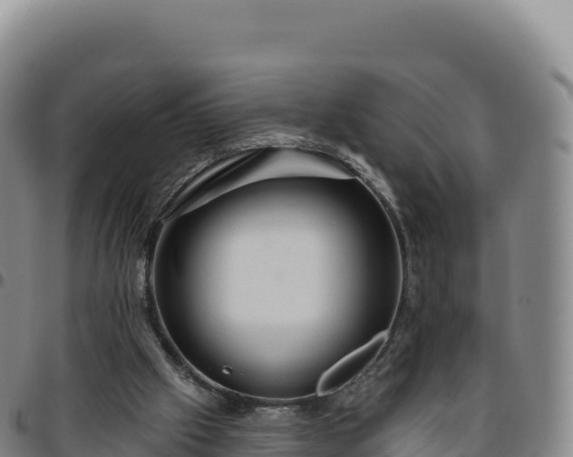 X0000096490057200801311627