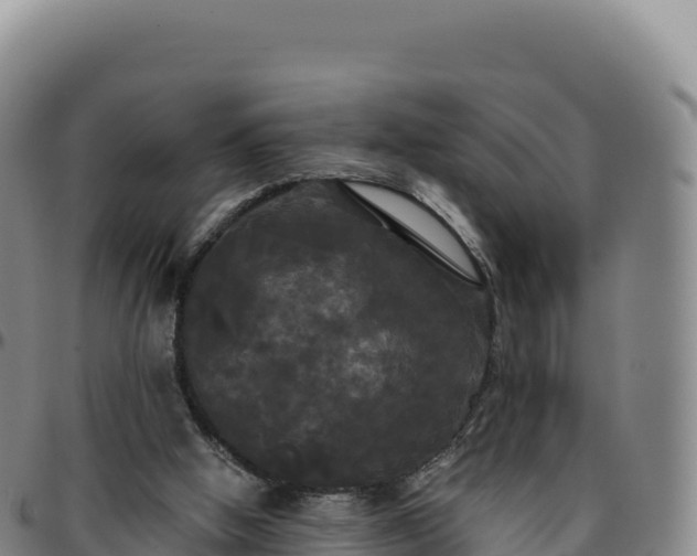 X0000096490058200801311627