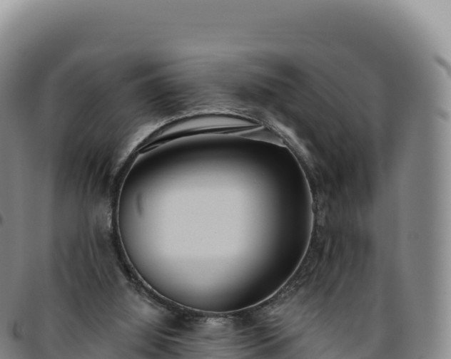 X0000096490060200801311627