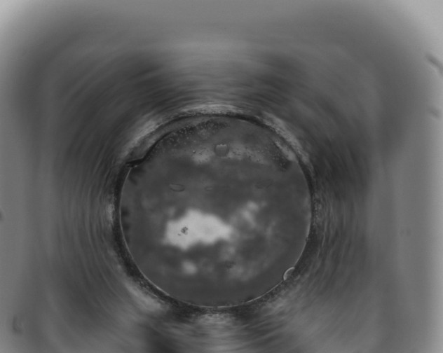 X0000096490063200801311627