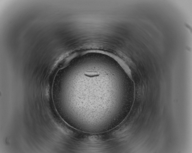 X0000096490064200801311627