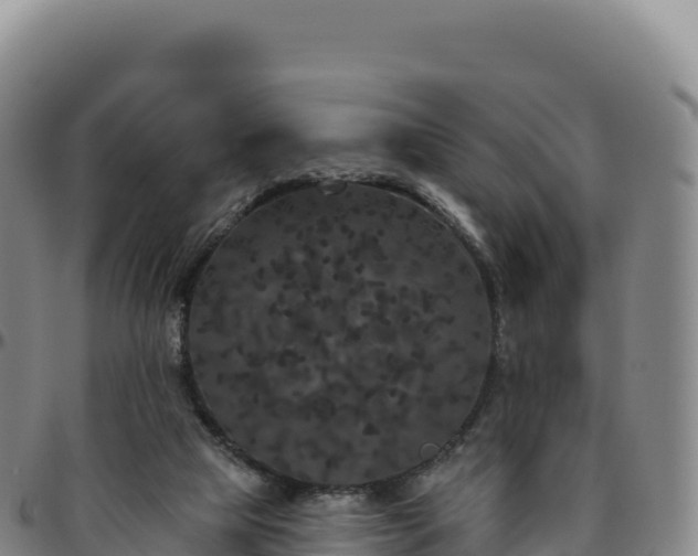 X0000096490065200801311627