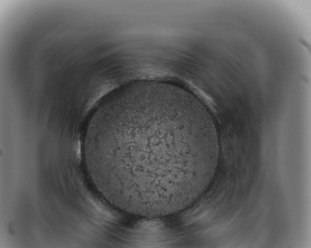 X0000096490067200801311627