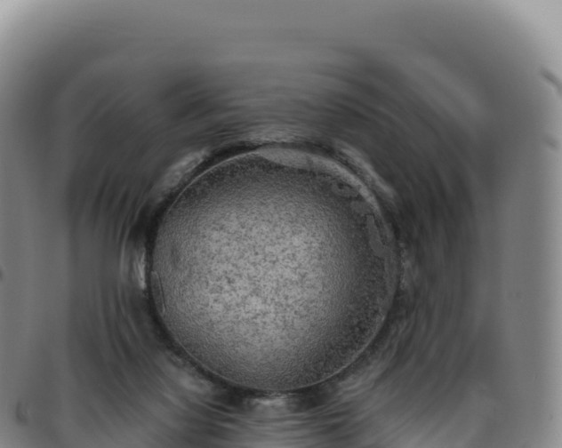 X0000096490068200801311627