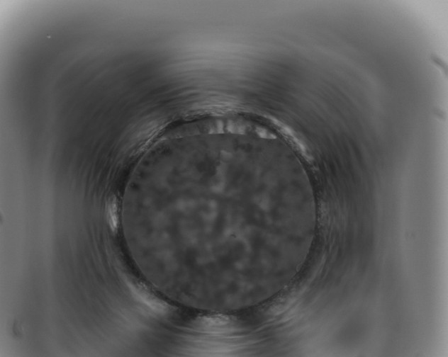 X0000096490069200801311627