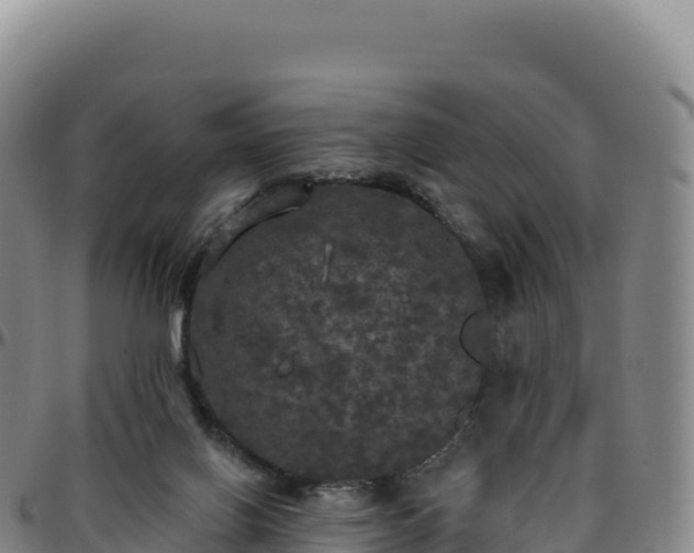 X0000096490070200801311627