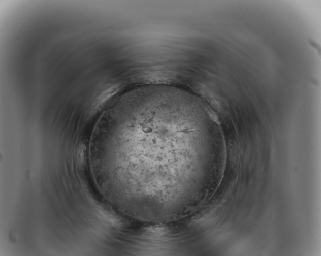 X0000096490071200801311627