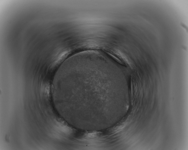 X0000096490072200801311627